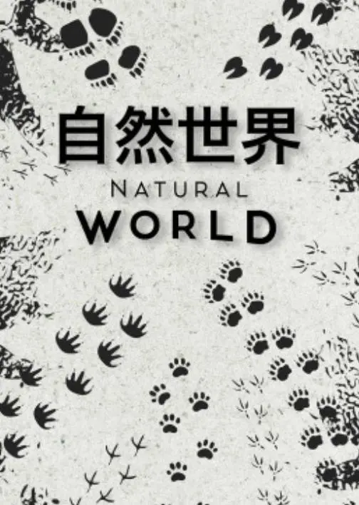 《自然世界第一季》：探索地球奇观，感受生命力量