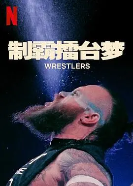 《制霸擂台梦第一季》：汗水与荣耀，燃爆你的格斗激情！