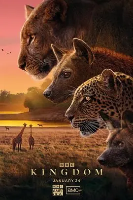 《动物王国2025》：当人类文明崩塌，真实的生存法则上演！一场关于人性与野性的终极对决